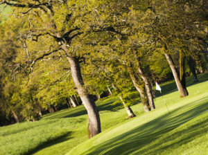 Parcours golf Lyon