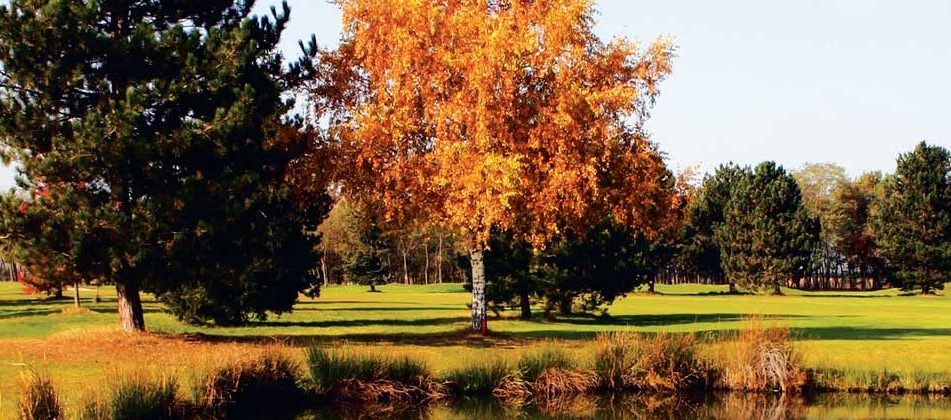 Golf du Forez