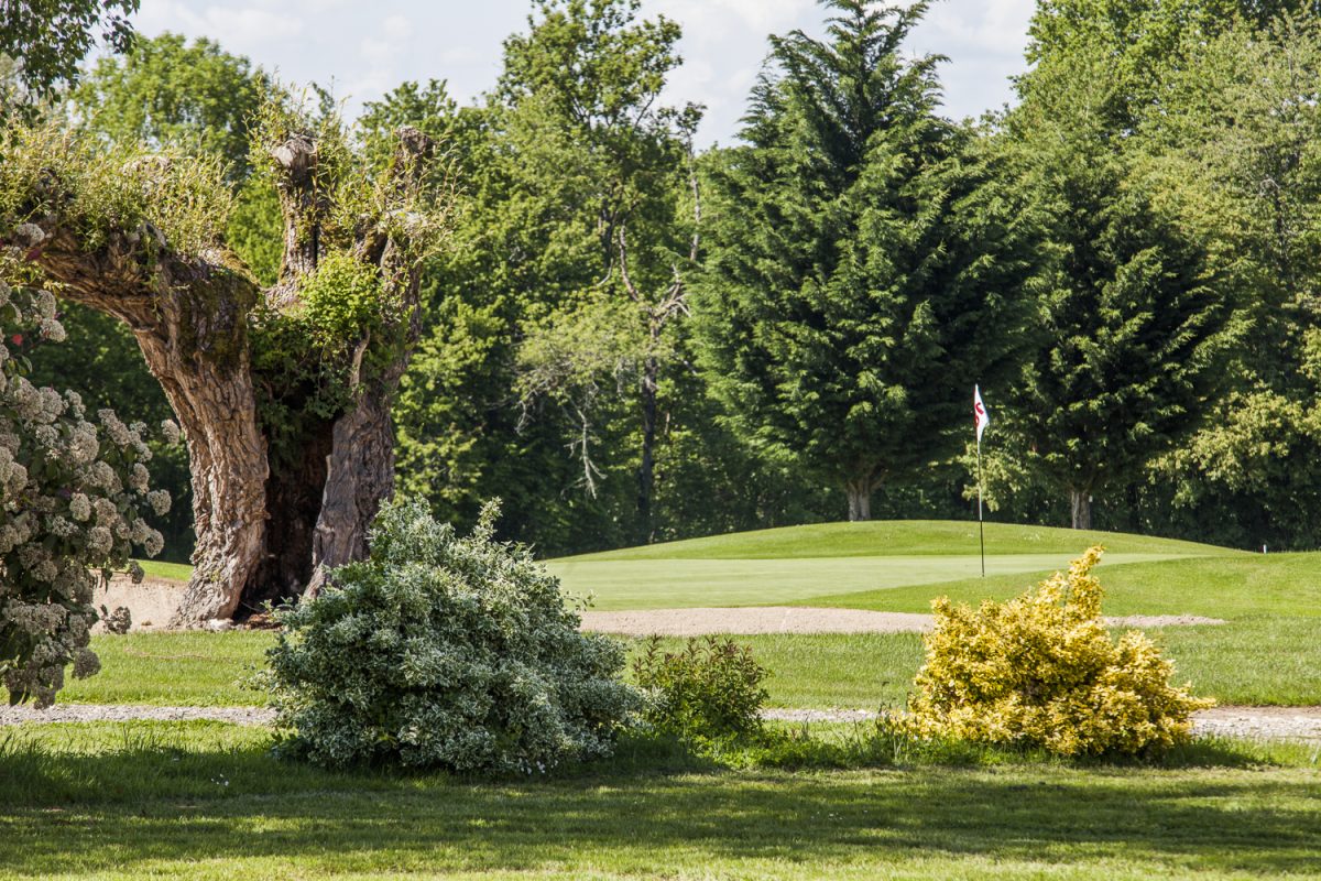 Semaine du Golf du 15 au 19 Aout