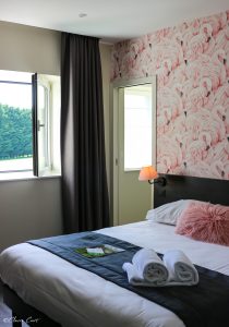 Flamingos